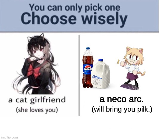 Choose wisely | a neco arc. (will bring you pilk.) | image tagged in choose wisely,neco arc | made w/ Imgflip meme maker