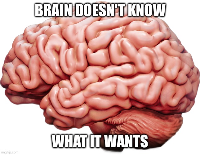 BRAIN DOESN'T KNOW; WHAT IT WANTS | made w/ Imgflip meme maker