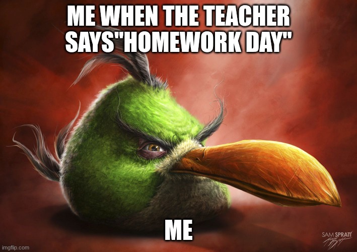 teacher be like | ME WHEN THE TEACHER SAYS"HOMEWORK DAY"; ME | image tagged in realistic angry bird | made w/ Imgflip meme maker