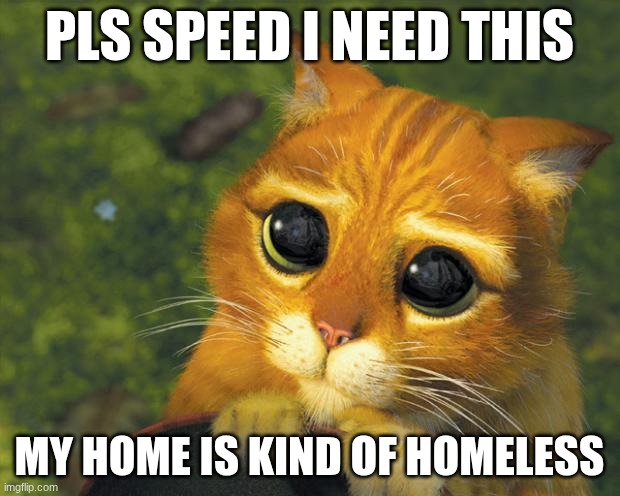 PLS PLS PLS | PLS SPEED I NEED THIS; MY HOME IS KIND OF HOMELESS | image tagged in puss in boots | made w/ Imgflip meme maker