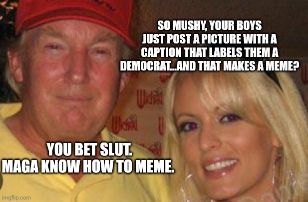 YOU BET SLUT.  MAGA KNOW HOW TO MEME. SO MUSHY, YOUR BOYS JUST POST A PICTURE WITH A CAPTION THAT LABELS THEM A DEMOCRAT...AND THAT MAKES A  | image tagged in side chick | made w/ Imgflip meme maker