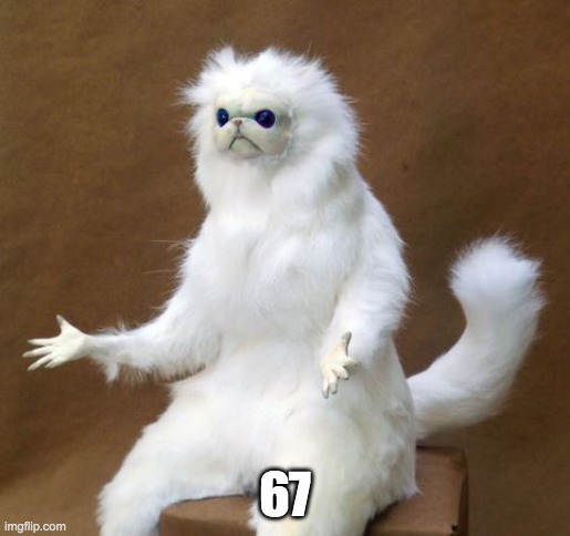 Persian white monkey | 67 | image tagged in persian white monkey | made w/ Imgflip meme maker