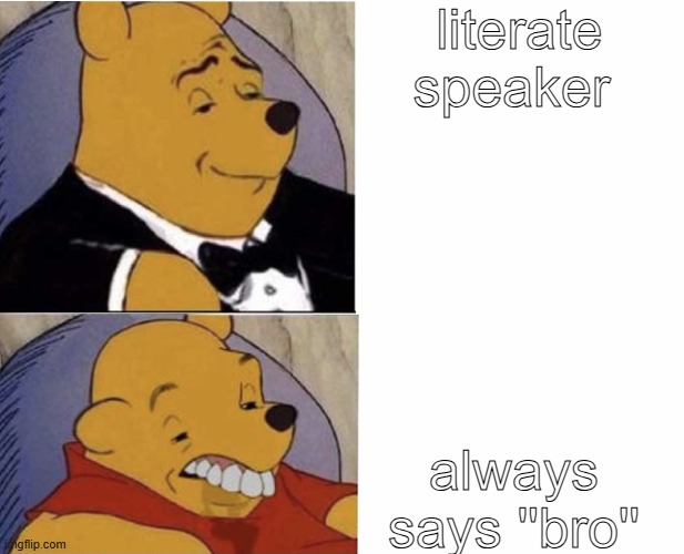 Me When I Am Doing This Me When I Am Doing That | literate speaker; always says ''bro'' | image tagged in me when i am doing this me when i am doing that | made w/ Imgflip meme maker