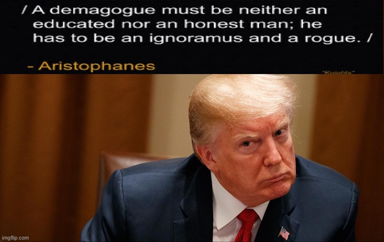 nvm, u dont know what a demagogue is. | image tagged in donald trump,quote | made w/ Imgflip meme maker