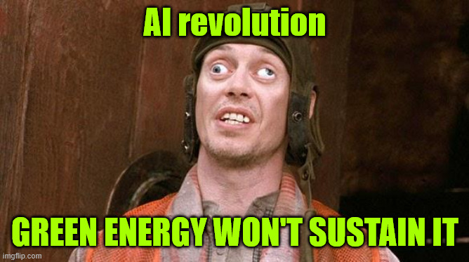 Steve Buscemi | AI revolution GREEN ENERGY WON'T SUSTAIN IT | image tagged in steve buscemi | made w/ Imgflip meme maker