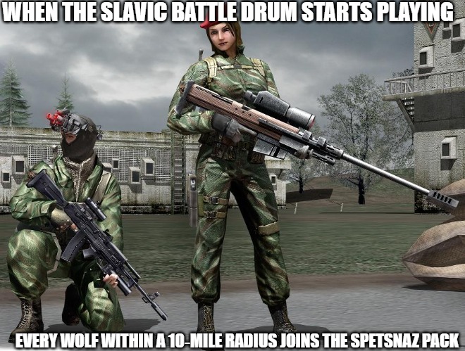 Slavic Spetsnaz Wolves | WHEN THE SLAVIC BATTLE DRUM STARTS PLAYING; EVERY WOLF WITHIN A 10‑MILE RADIUS JOINS THE SPETSNAZ PACK | image tagged in slavic spetsnaz wolves,slavic battle,slavic lives matter | made w/ Imgflip meme maker