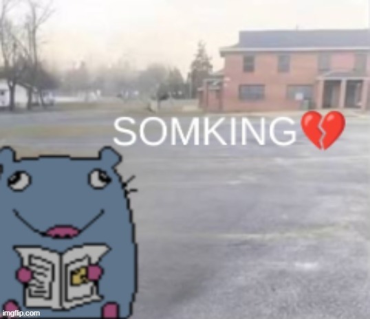 Somking? | image tagged in somking | made w/ Imgflip meme maker