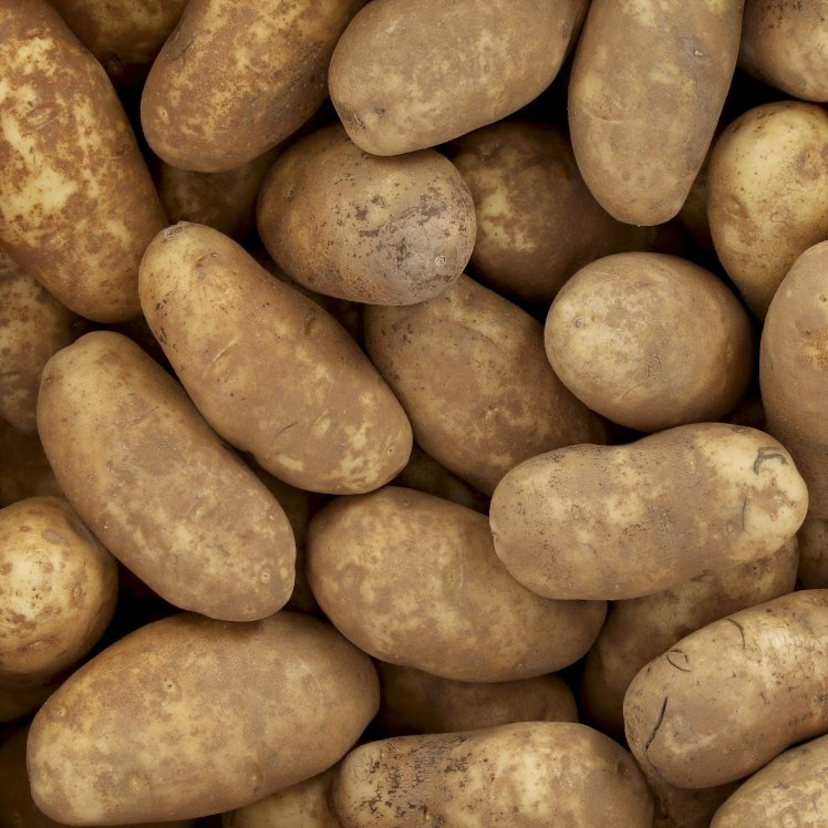 potatoes Blank Meme Template