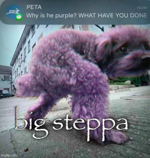 image tagged in big steppa | made w/ Imgflip meme maker