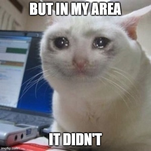 Crying cat | BUT IN MY AREA IT DIDN'T | image tagged in crying cat | made w/ Imgflip meme maker