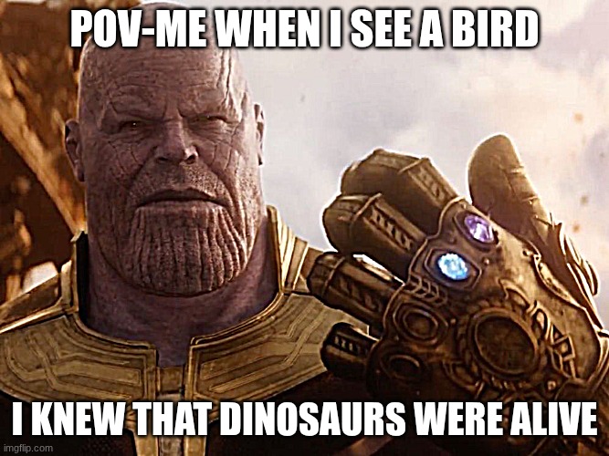Thanos Smile | POV-ME WHEN I SEE A BIRD; I KNEW THAT DINOSAURS WERE ALIVE | image tagged in thanos smile | made w/ Imgflip meme maker