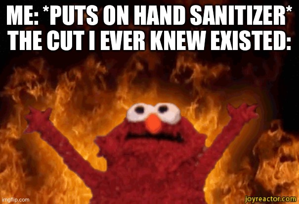 burning elmo | ME: *PUTS ON HAND SANITIZER* THE CUT I EVER KNEW EXISTED: | image tagged in burning elmo | made w/ Imgflip meme maker