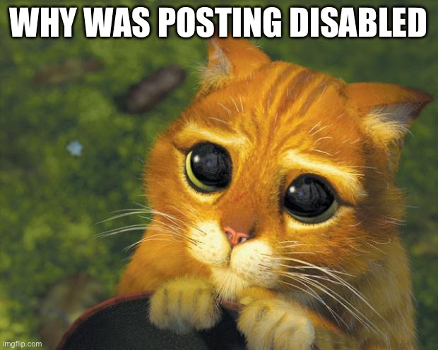 puss in boots | WHY WAS POSTING DISABLED | image tagged in puss in boots | made w/ Imgflip meme maker