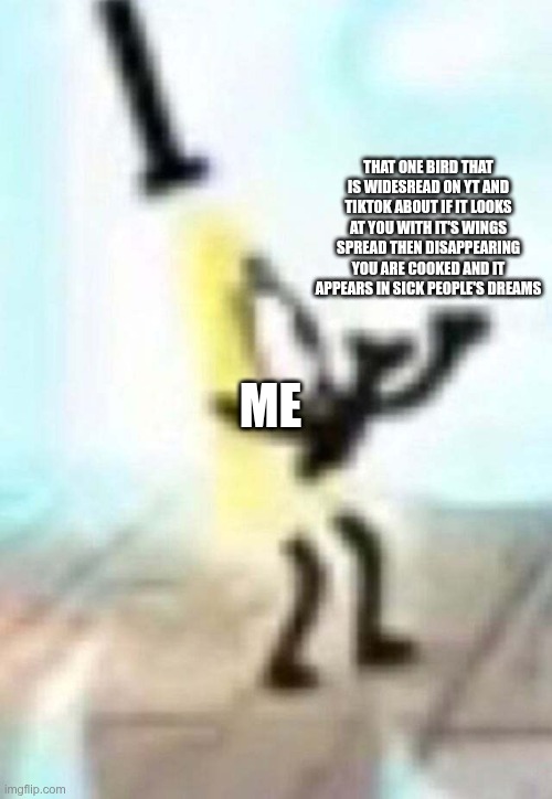 idk | THAT ONE BIRD THAT IS WIDESREAD ON YT AND TIKTOK ABOUT IF IT LOOKS AT YOU WITH IT'S WINGS SPREAD THEN DISAPPEARING YOU ARE COOKED AND IT APPEARS IN SICK PEOPLE'S DREAMS; ME | image tagged in fever bird meme,bill cipher,memes,funny | made w/ Imgflip meme maker
