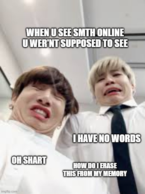 poor jimin and jk :( | WHEN U SEE SMTH ONLINE U WER'NT SUPPOSED TO SEE; I HAVE NO WORDS; OH SHART; HOW DO I ERASE THIS FROM MY MEMORY | image tagged in memeabe bts | made w/ Imgflip meme maker