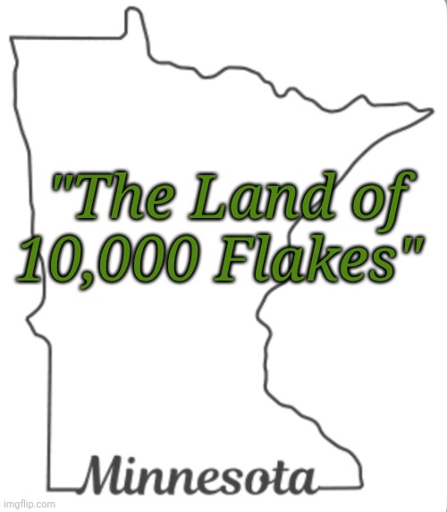 Why stop at just a new flag? | "The Land of 10,000 Flakes" | image tagged in minnesota | made w/ Imgflip meme maker