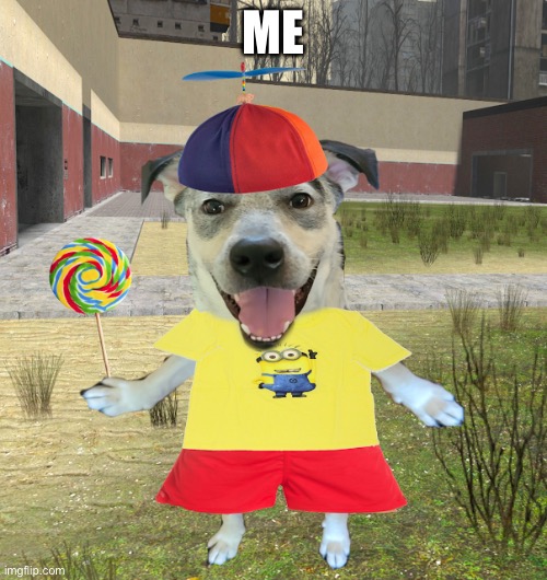 propeller hat dog | ME | image tagged in propeller hat dog | made w/ Imgflip meme maker