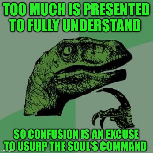 Philosoraptor Meme | TOO MUCH IS PRESENTED TO FULLY UNDERSTAND; SO CONFUSION IS AN EXCUSE TO USURP THE SOUL’S COMMAND | image tagged in memes,philosoraptor | made w/ Imgflip meme maker