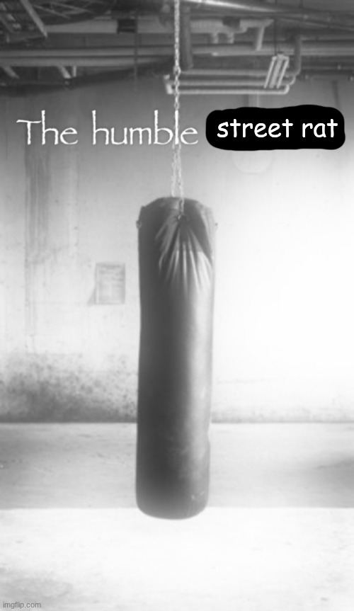 now, back to our regular scheduled  self hate cause I'm a pathetic piece of shit | street rat | image tagged in the humble rewrite | made w/ Imgflip meme maker