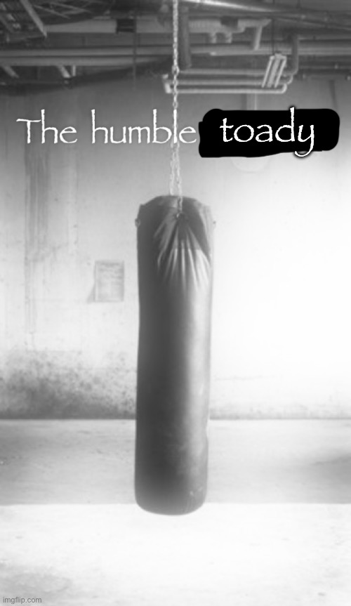 it lowk feels like this most of the time | toady | image tagged in the humble rewrite | made w/ Imgflip meme maker