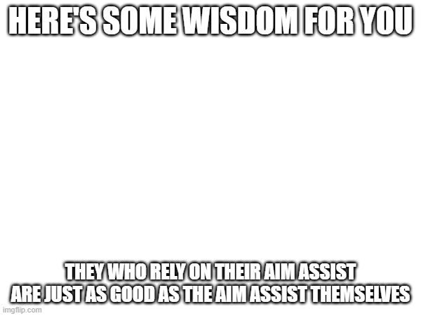 HERE'S SOME WISDOM FOR YOU; THEY WHO RELY ON THEIR AIM ASSIST ARE JUST AS GOOD AS THE AIM ASSIST THEMSELVES | image tagged in aim assist | made w/ Imgflip meme maker