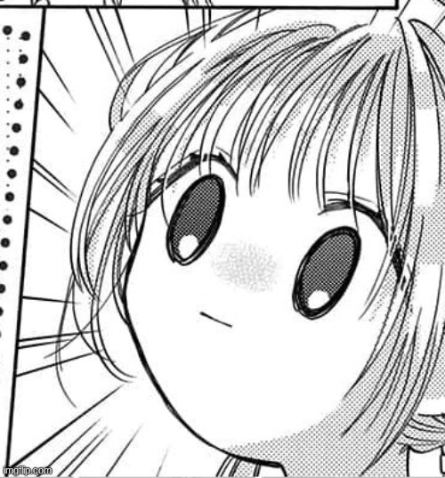 stunned anime girl | image tagged in stunned anime girl | made w/ Imgflip meme maker