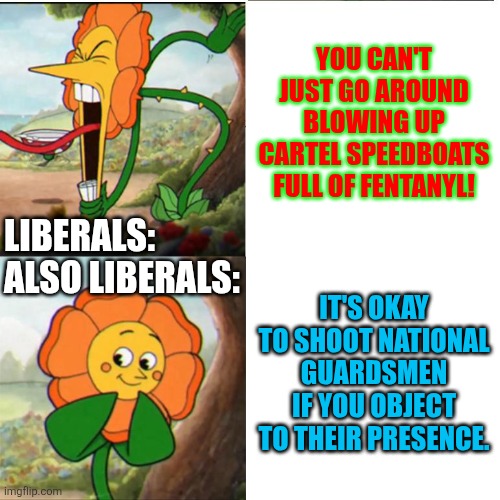 DNC:  Drugrunners Need Compassion | YOU CAN'T JUST GO AROUND BLOWING UP CARTEL SPEEDBOATS FULL OF FENTANYL! LIBERALS:
ALSO LIBERALS:; IT'S OKAY TO SHOOT NATIONAL GUARDSMEN IF YOU OBJECT TO THEIR PRESENCE. | image tagged in cuphead flower,political meme | made w/ Imgflip meme maker