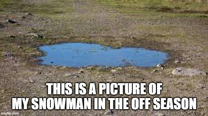 Here's a picture of my snow man during the off season. Merry Christmas | THIS IS A PICTURE OF MY SNOWMAN IN THE OFF SEASON | image tagged in funny,humor,snowman,christmas,merry christmas | made w/ Imgflip meme maker