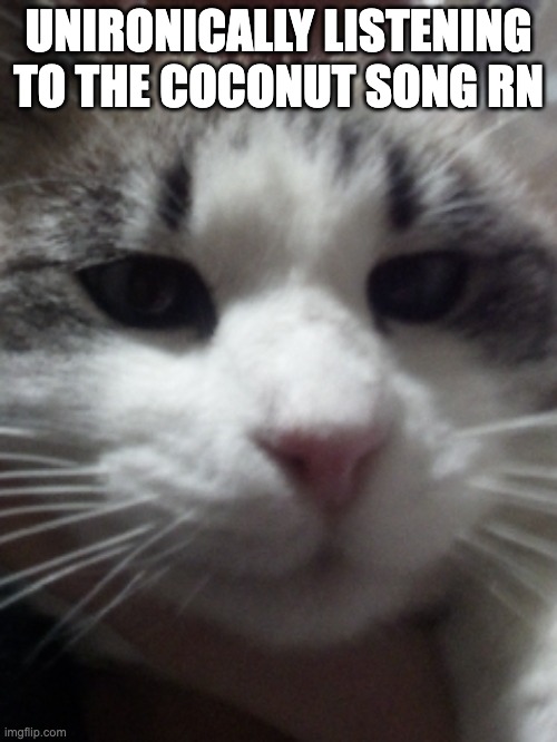 Sour Hart announcement template | UNIRONICALLY LISTENING TO THE COCONUT SONG RN | image tagged in sour hart announcement template | made w/ Imgflip meme maker