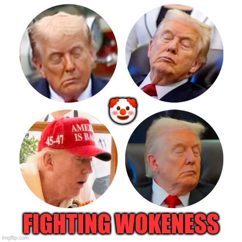 Fighting Wokeness | 🤡; FIGHTING WOKENESS | image tagged in trump,gop,maga,nazi,fascist,wokeness | made w/ Imgflip meme maker