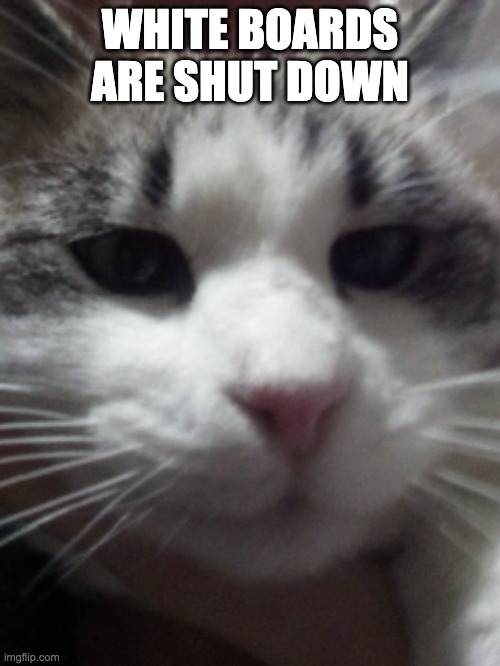 Sour Hart announcement template | WHITE BOARDS ARE SHUT DOWN | image tagged in sour hart announcement template | made w/ Imgflip meme maker