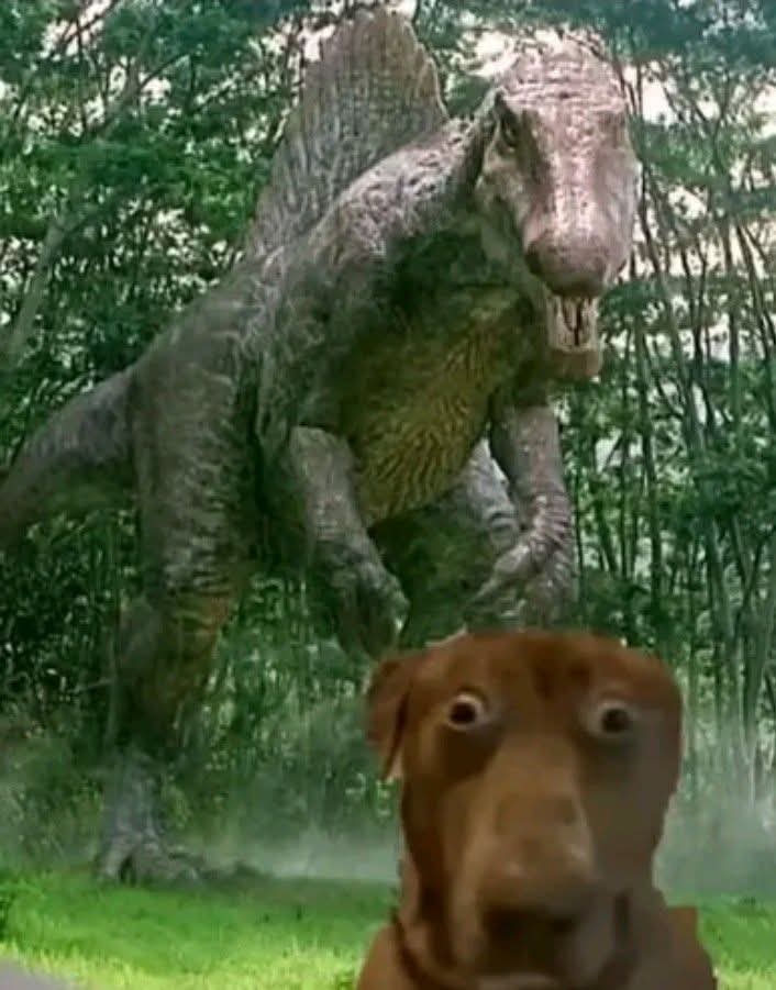 Me scared of Satsuki Blank Meme Template