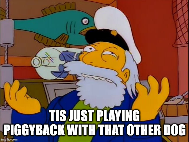 Argh not a quarter he'll be dancing for hours | TIS JUST PLAYING PIGGYBACK WITH THAT OTHER DOG | image tagged in argh not a quarter he'll be dancing for hours | made w/ Imgflip meme maker