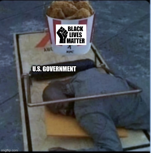 KFC Mouse Trap | U.S. GOVERNMENT | image tagged in kfc mouse trap | made w/ Imgflip meme maker