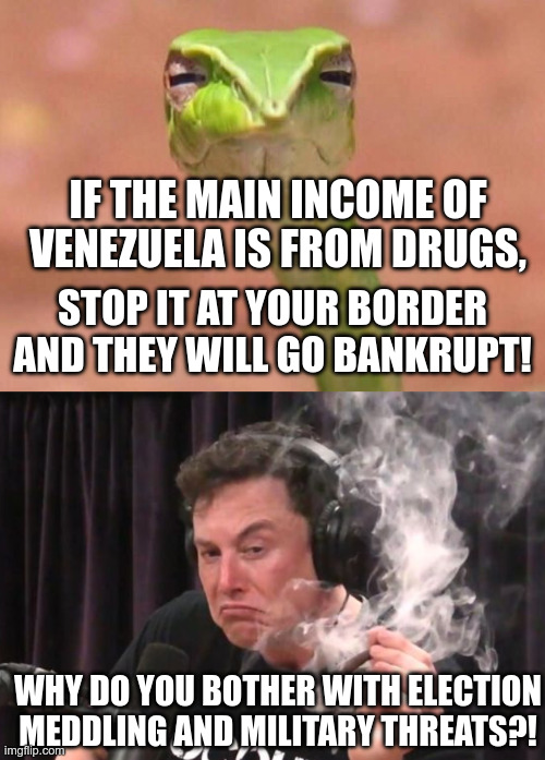 IF THE MAIN INCOME OF VENEZUELA IS FROM DRUGS, STOP IT AT YOUR BORDER AND THEY WILL GO BANKRUPT! WHY DO YOU BOTHER WITH ELECTION MEDDLING AND MILITARY THREATS?! | image tagged in skeptical snake,elon mehsk | made w/ Imgflip meme maker