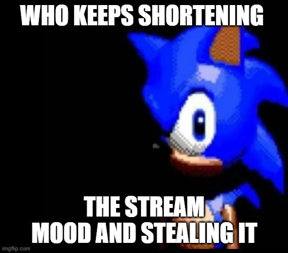 Sonic stares | WHO KEEPS SHORTENING; THE STREAM MOOD AND STEALING IT | image tagged in sonic stares | made w/ Imgflip meme maker