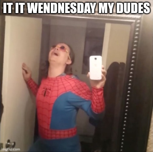 missed last week lol | IT IT WENDNESDAY MY DUDES | image tagged in it's wednesday my dudes | made w/ Imgflip meme maker