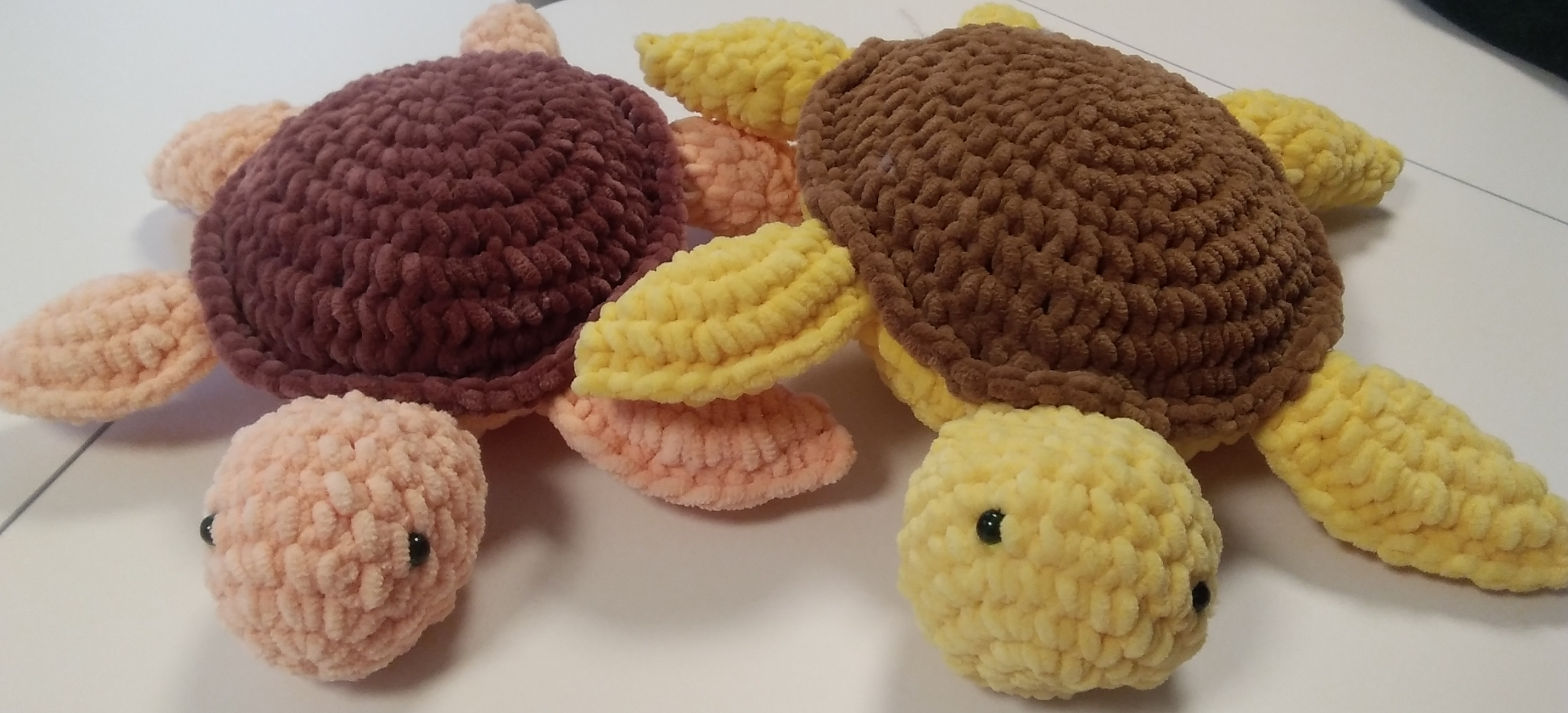 Two turtles Blank Meme Template