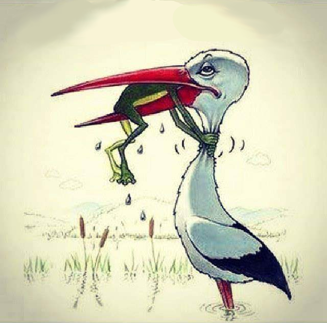 frog being swallowed chokes stork Blank Meme Template