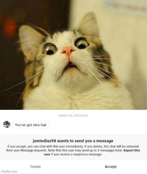 image tagged in memes,scared cat | made w/ Imgflip meme maker