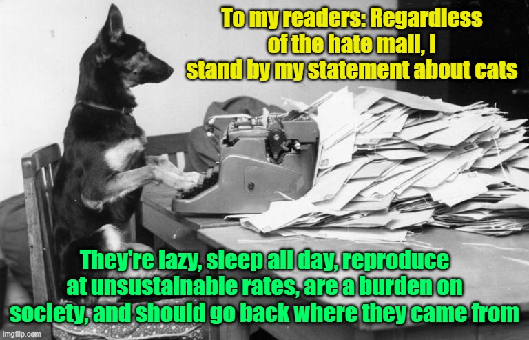 A dog named MAGA | To my readers: Regardless of the hate mail, I stand by my statement about cats; They're lazy, sleep all day, reproduce at unsustainable rates, are a burden on society, and should go back where they came from | image tagged in immigration,welfare,dogs an cats,maga | made w/ Imgflip meme maker