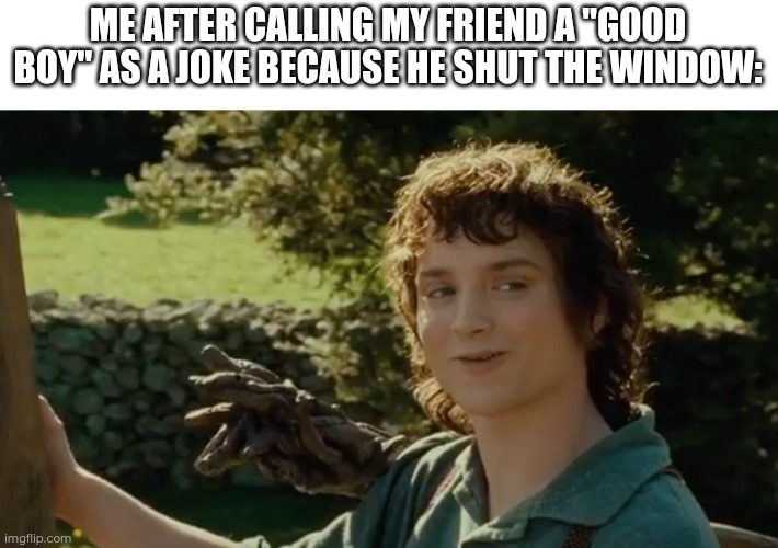 Day 17 of making a meme from a random template | ME AFTER CALLING MY FRIEND A "GOOD BOY" AS A JOKE BECAUSE HE SHUT THE WINDOW: | image tagged in frodo alright then keep your secrets,good boy | made w/ Imgflip meme maker