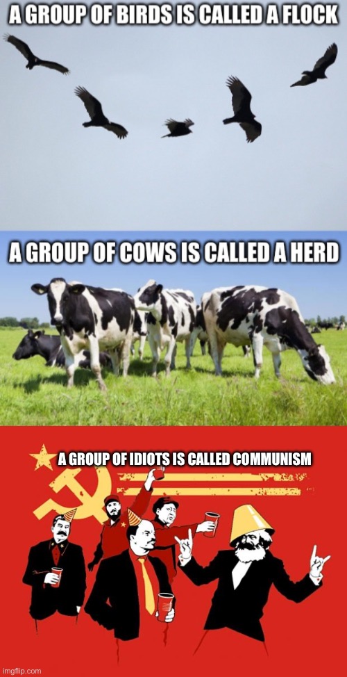Communism sounds dumb in theory and Karl Marx is an idiotic hypocrite | A GROUP OF IDIOTS IS CALLED COMMUNISM | image tagged in communists,communism,idiot | made w/ Imgflip meme maker
