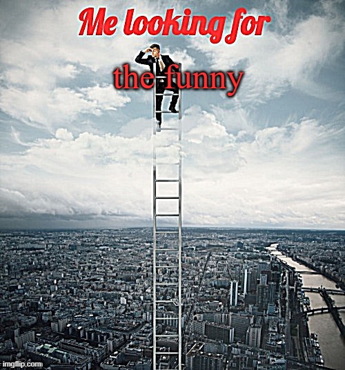 Searching | the funny | image tagged in searching | made w/ Imgflip meme maker