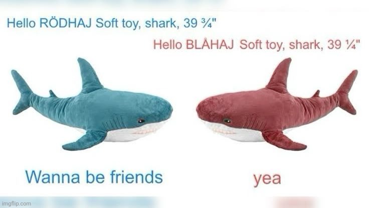 BLAHAJ Shark dayo | made w/ Imgflip meme maker