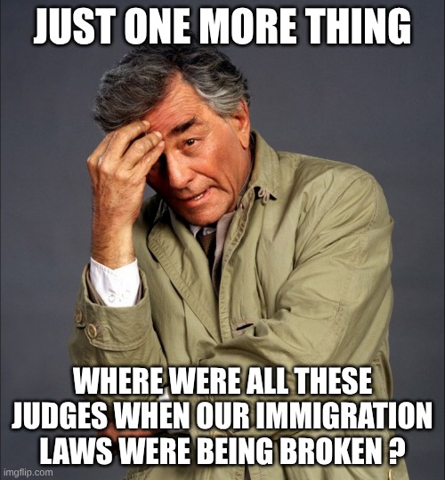 Here come da judge | JUST ONE MORE THING; WHERE WERE ALL THESE JUDGES WHEN OUR IMMIGRATION LAWS WERE BEING BROKEN ? | image tagged in just one more thing,immigration | made w/ Imgflip meme maker