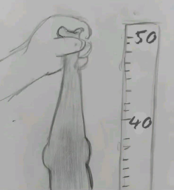 Dick measure Blank Meme Template