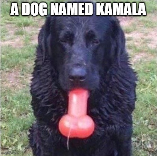 A DOG NAMED KAMALA | made w/ Imgflip meme maker