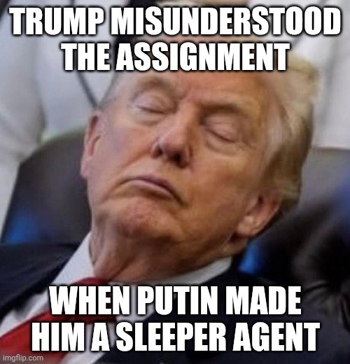 Long live Ukraine | TRUMP MISUNDERSTOOD THE ASSIGNMENT; WHEN PUTIN MADE HIM A SLEEPER AGENT | image tagged in trump sleeping,vladimir putin,donald trump,traitor,maga | made w/ Imgflip meme maker