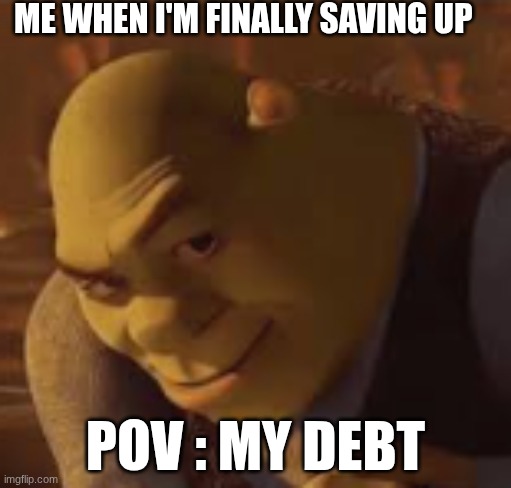 pov my debt | ME WHEN I'M FINALLY SAVING UP; POV : MY DEBT | image tagged in shrek | made w/ Imgflip meme maker